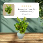 Artificial Mini Flowers Pot