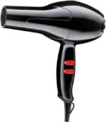 Hair Dryer 6130